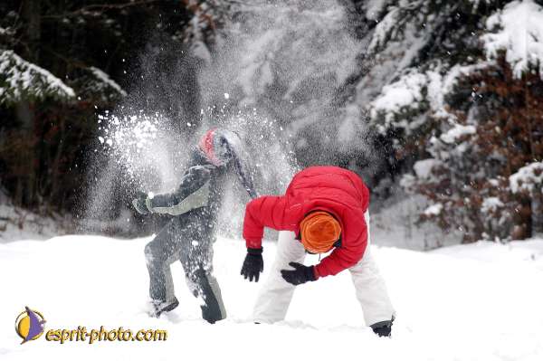 Nom de l'image : D1105238-01 — Description :