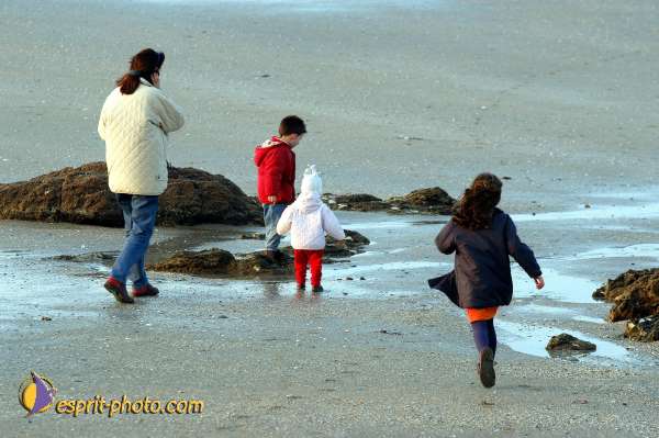 Nom de l'image : D1109981-01 — Description :