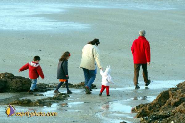 Nom de l'image : D1109989-01 — Description :