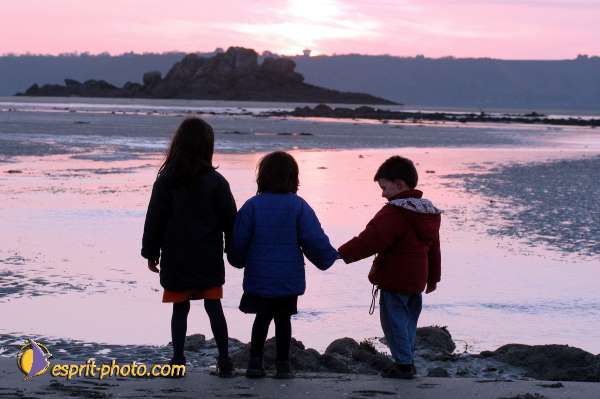 Nom de l'image : D1110166-01 — Description :