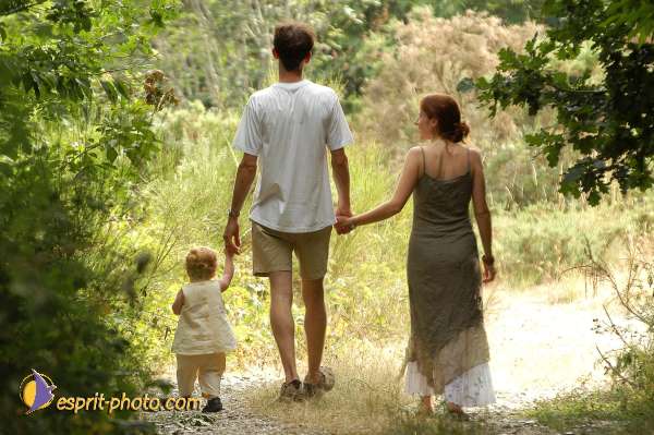 Nom de l'image : D1155205-01 — Description :