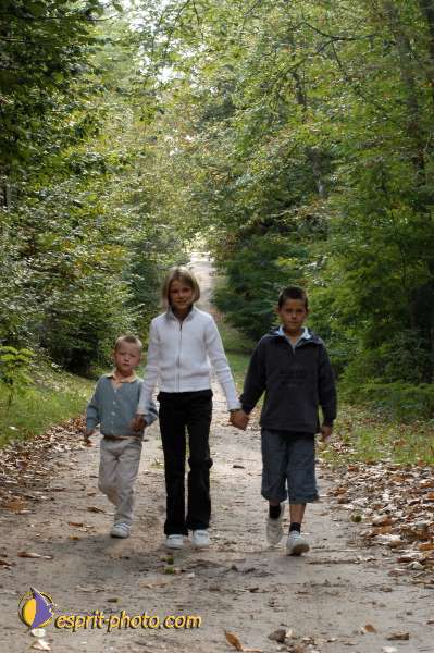 Nom de l'image : E00011080-01 — Description :