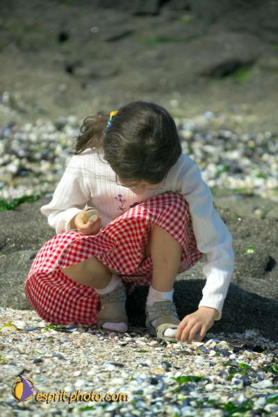 Nom de l'image : K1000870-01 — Description :