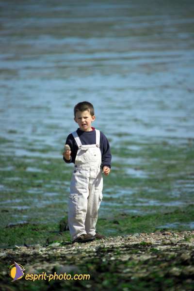 Nom de l'image : K1000893-01 — Description :