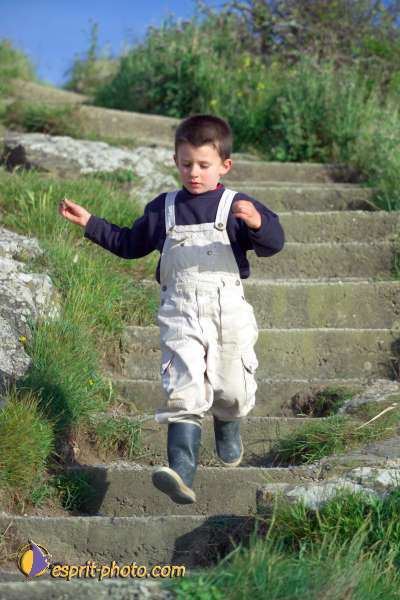 Nom de l'image : K1001017-01 — Description :