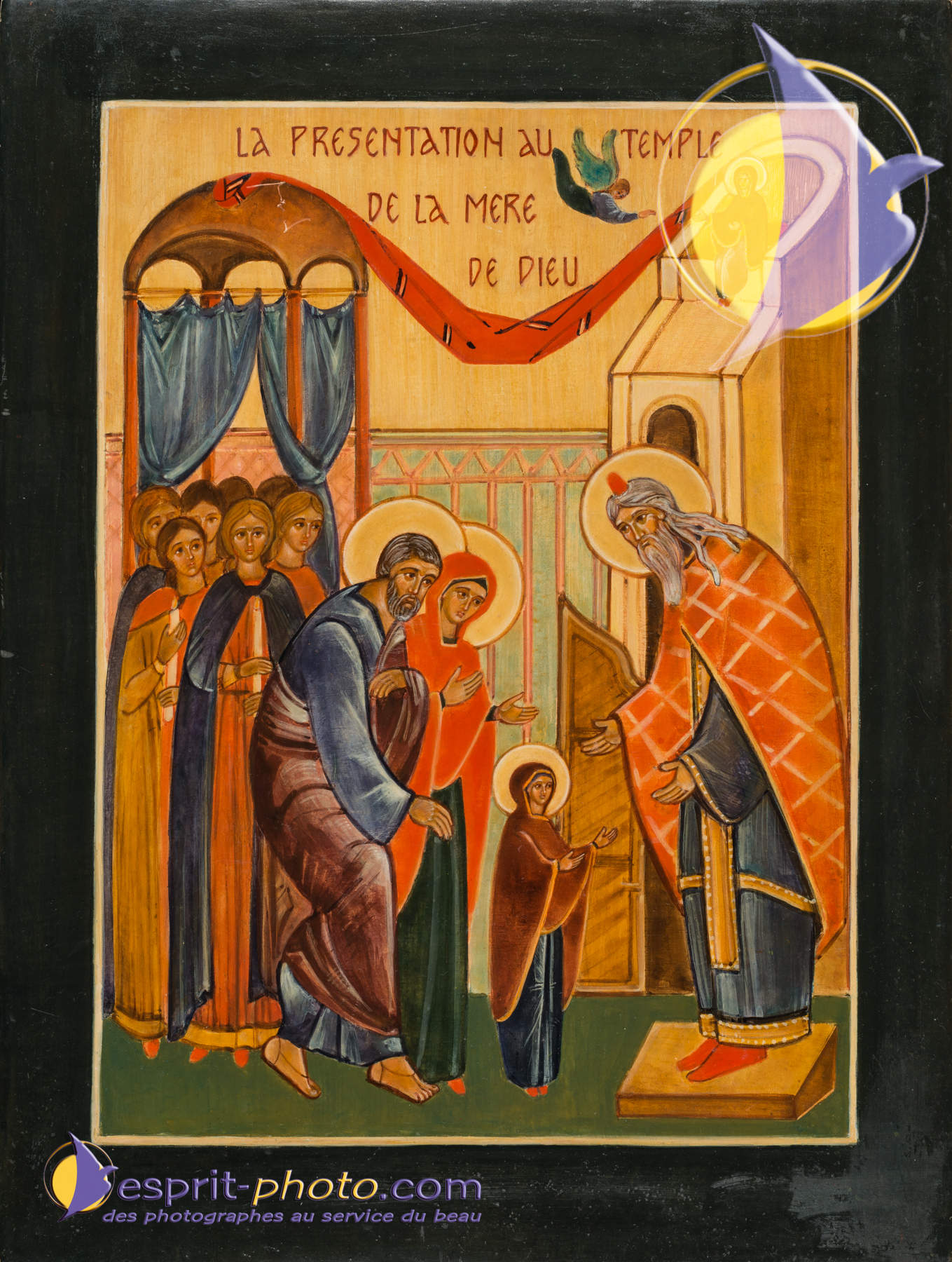 Nom de l'image : D8e009183_(c)Norbert-JUNG.com — Description :