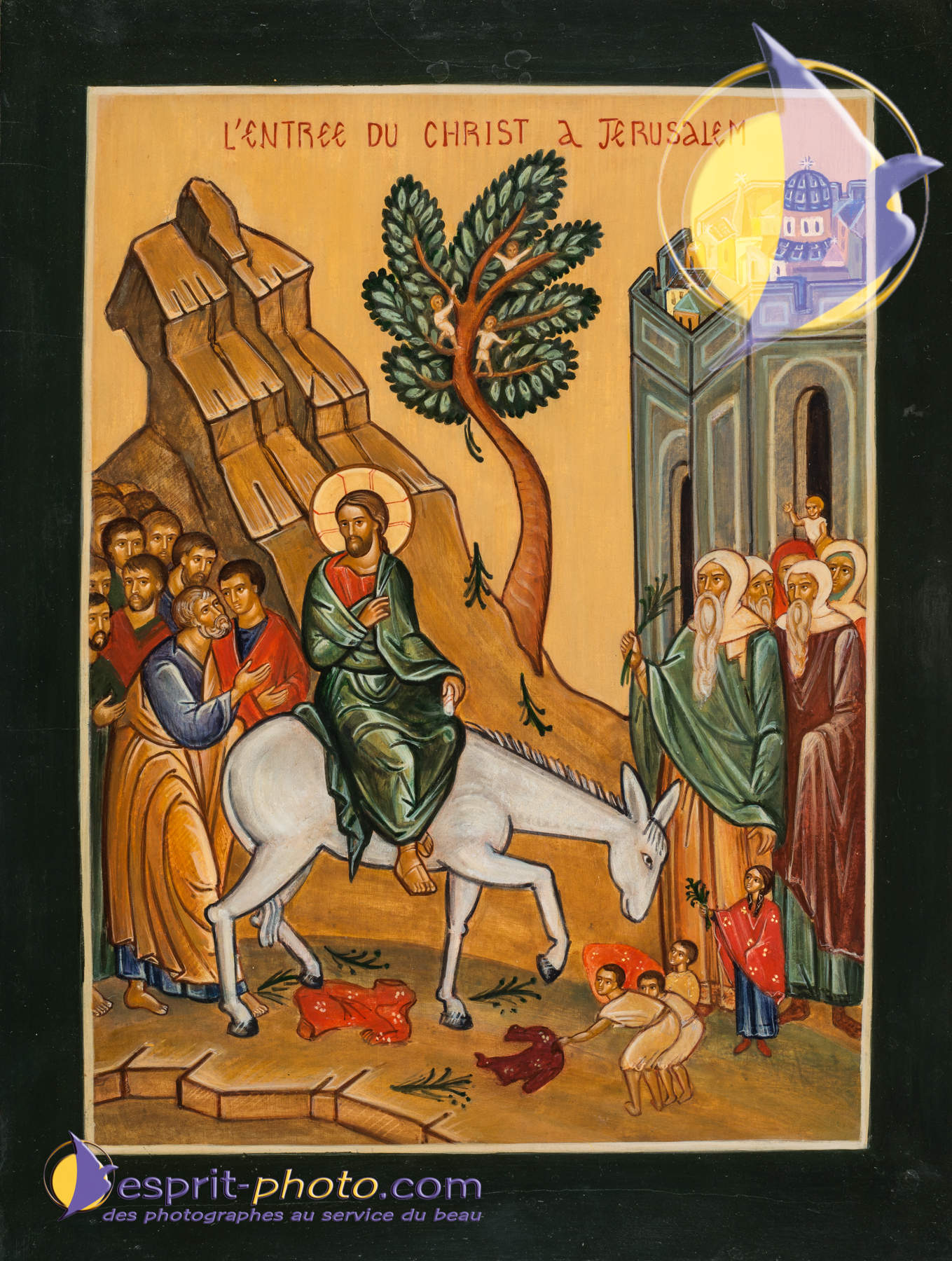 Nom de l'image : D8e009197_(c)Norbert-JUNG.com — Description :