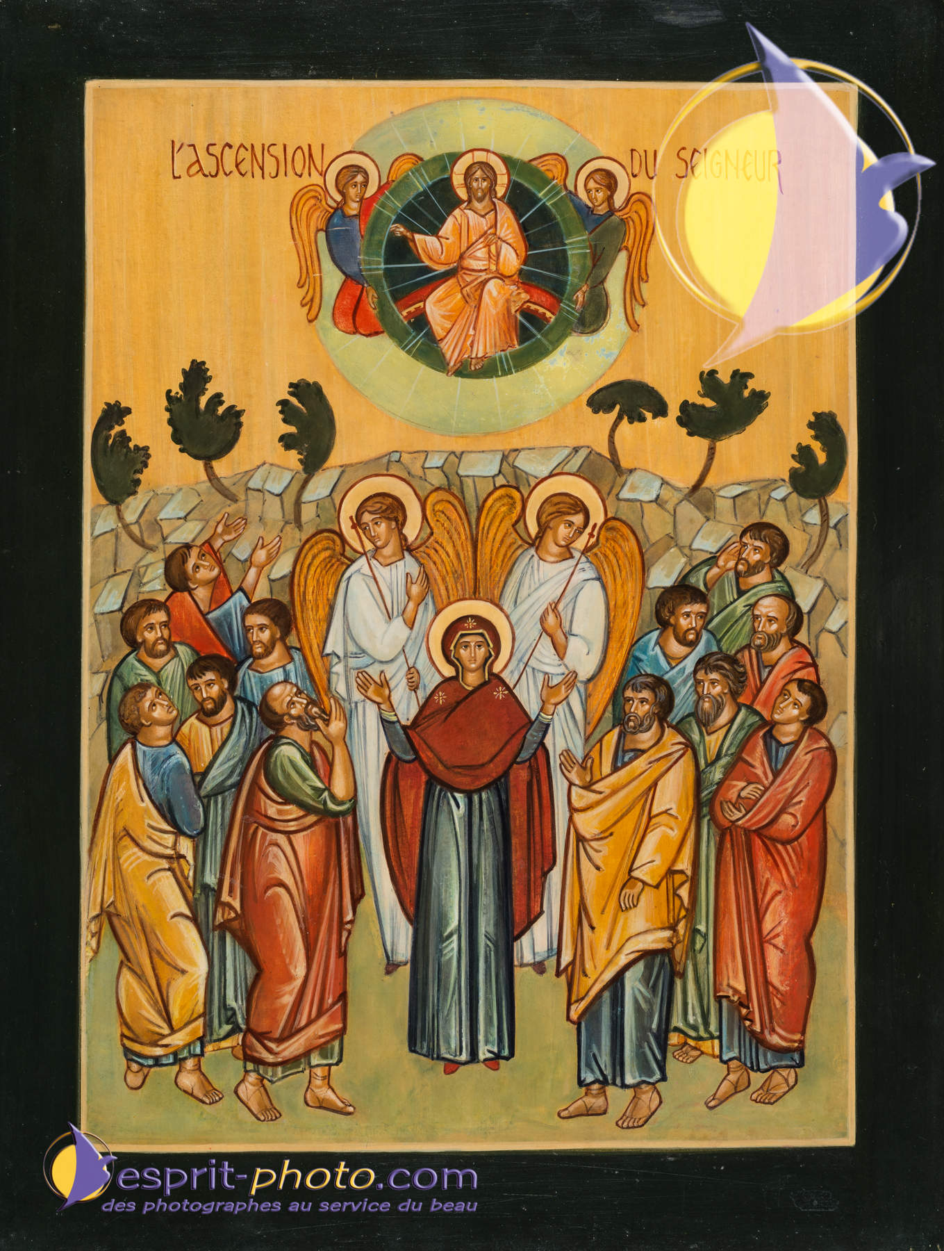 Nom de l'image : D8e009203_(c)Norbert-JUNG.com — Description :