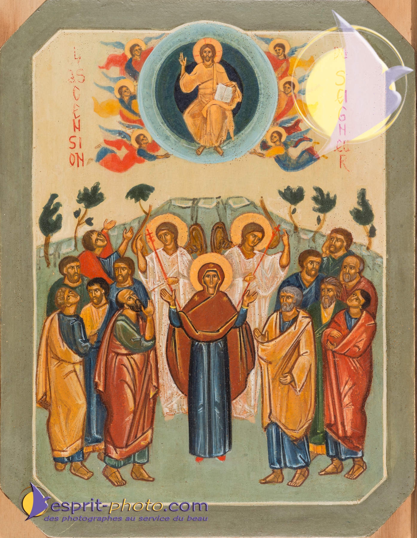 Nom de l'image : D8e009363_(c)Norbert-JUNG.com — Description :