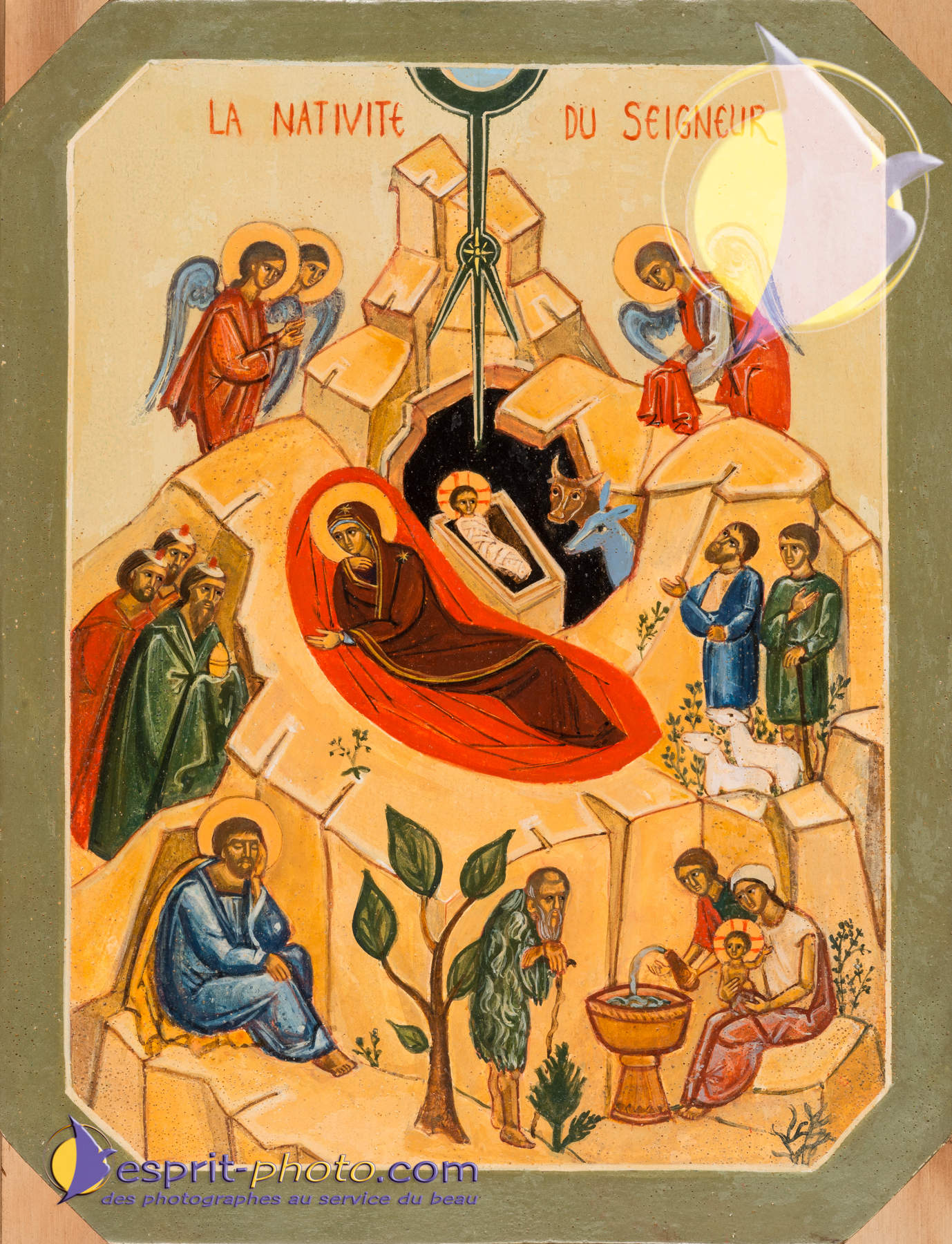 Nom de l'image : D8e009372_(c)Norbert-JUNG.com — Description :