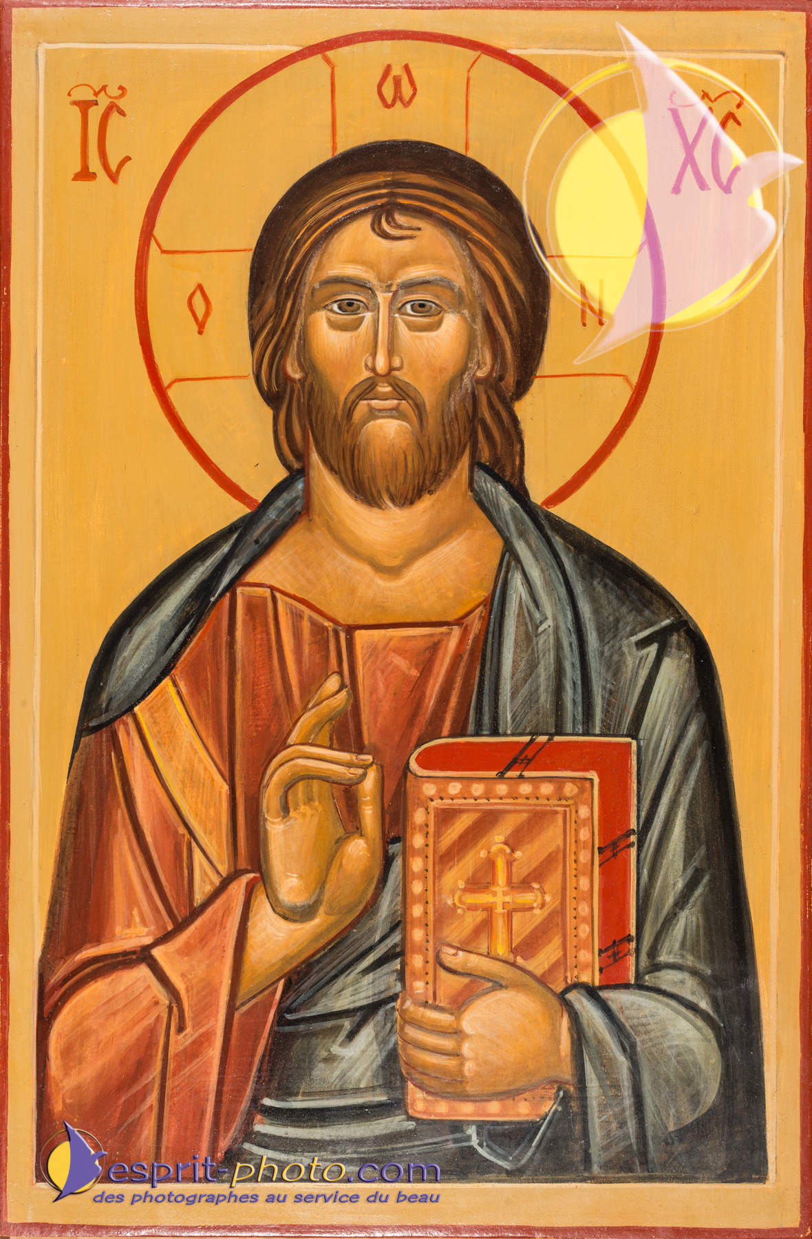 Nom de l'image : D8e009375_(c)Norbert-JUNG.com — Description :