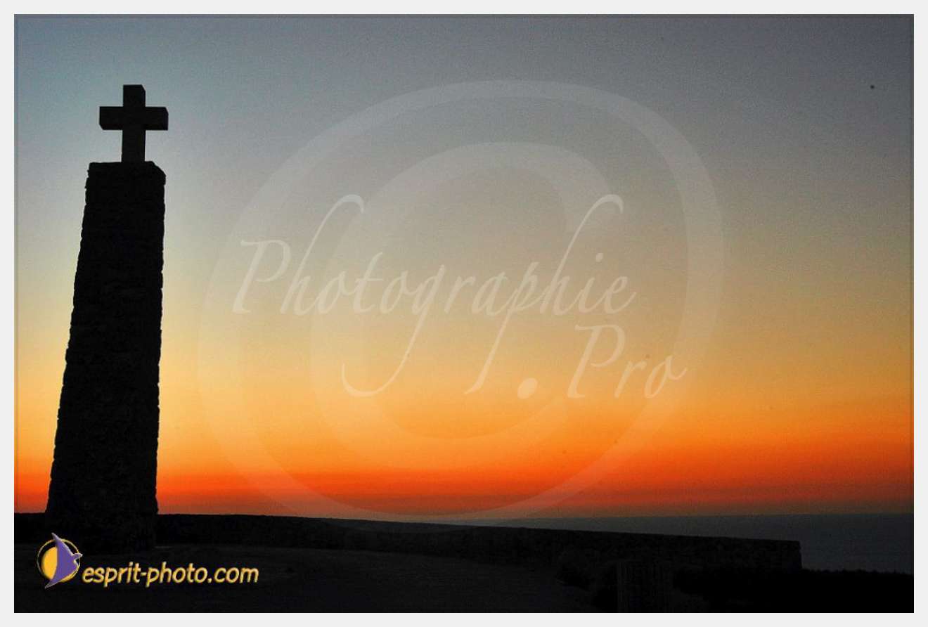 Nom de l'image : 460 — Description :