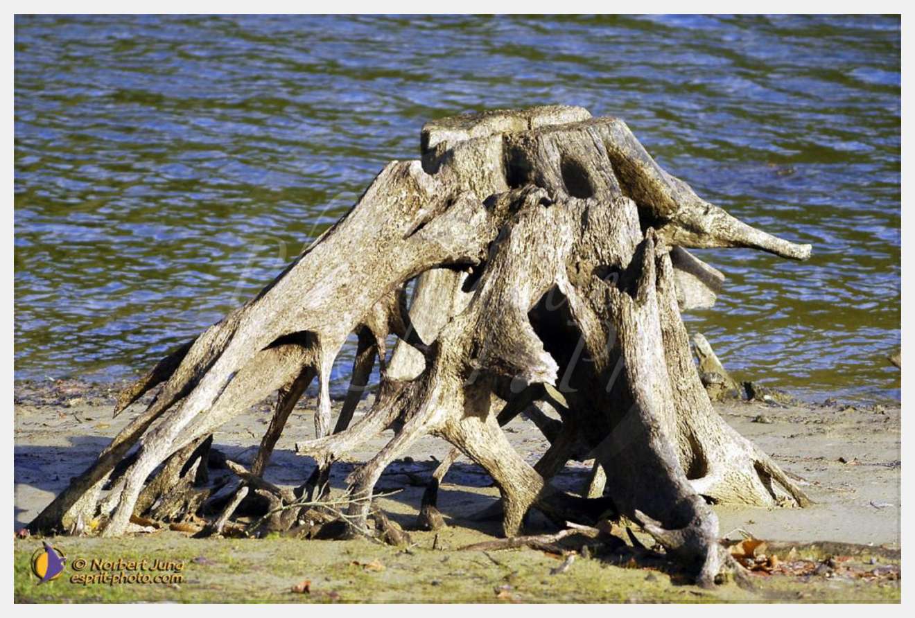 Nom de l'image : D1007090-01 — Description :