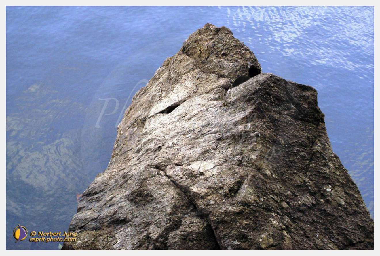 Nom de l'image : D1007120-01 — Description :