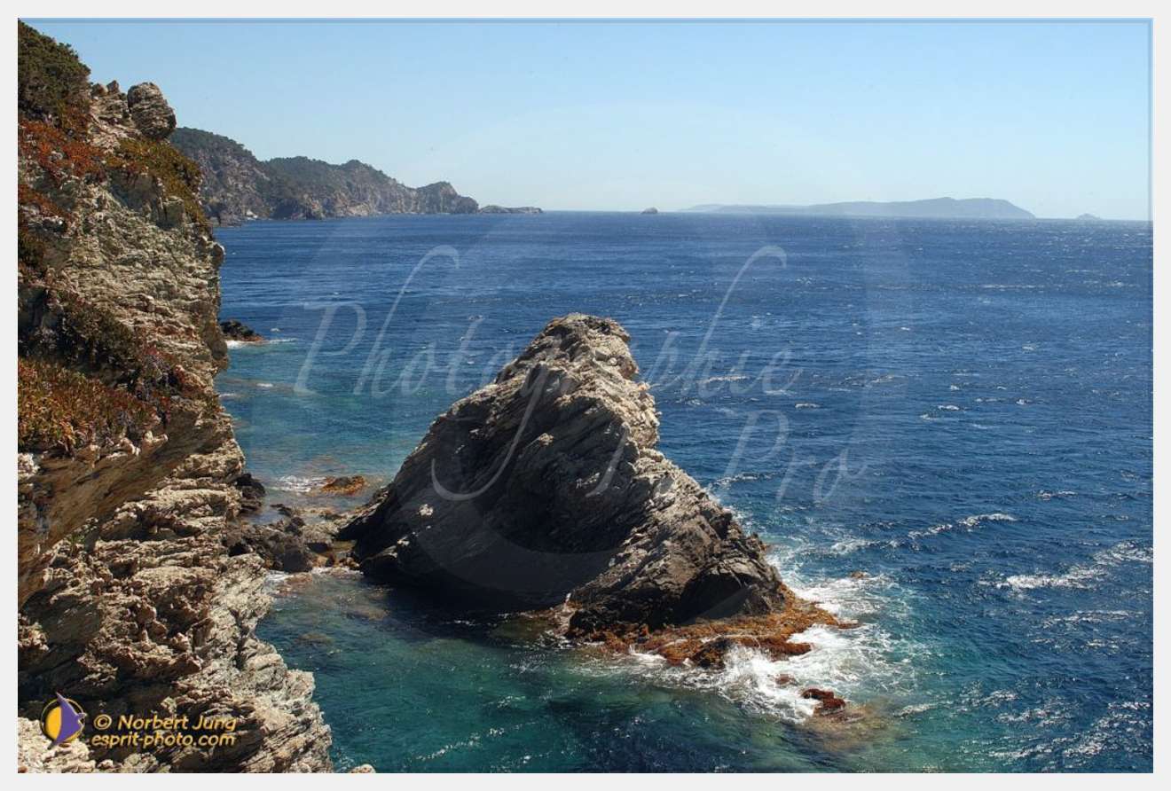 Nom de l'image : D1055277-nef-sel-01 — Description :