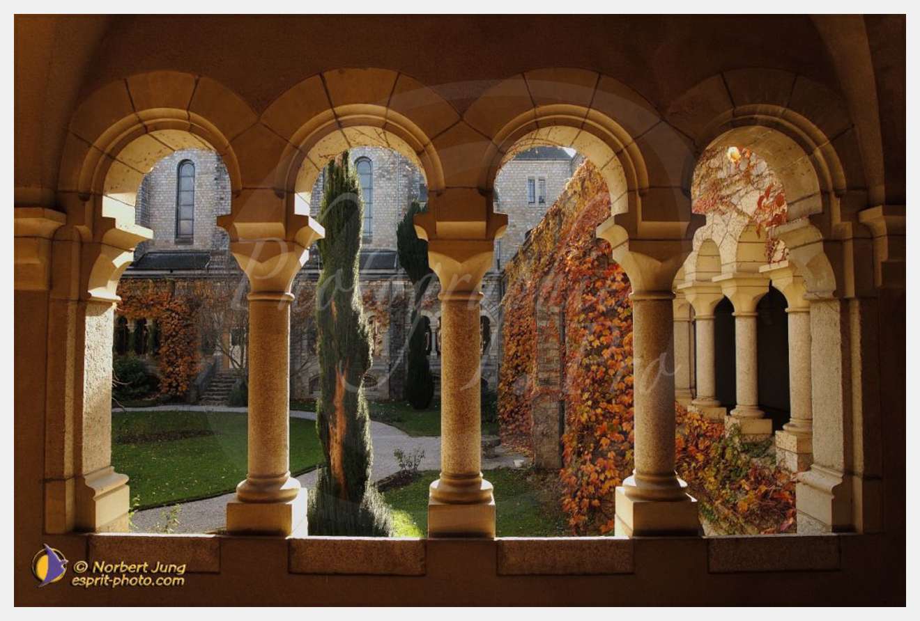 Nom de l'image : D1088474-nef-01 — Description :