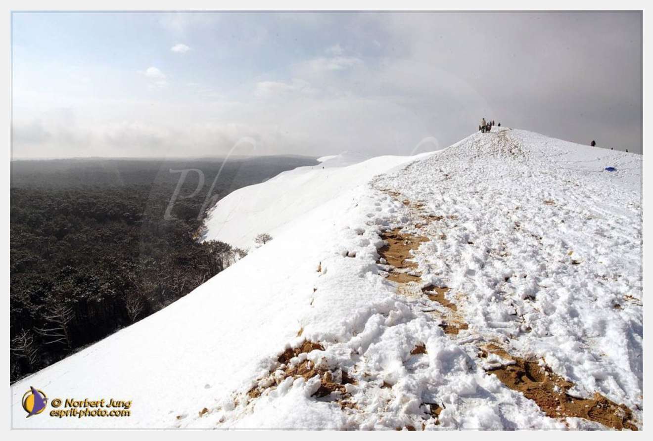 Nom de l'image : D1111943-nef-01 — Description :