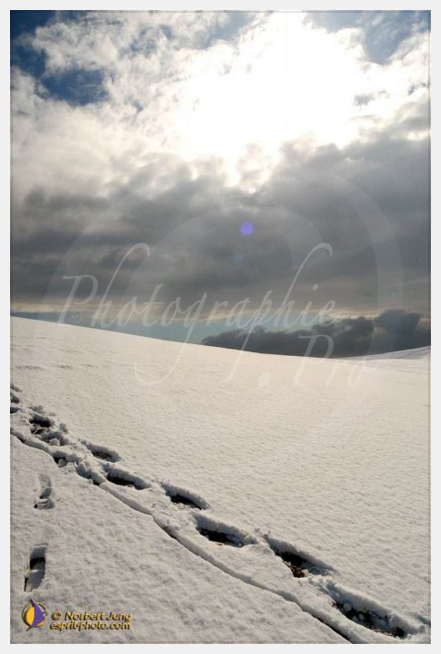 Nom de l'image : D1112131-nef-01 — Description :