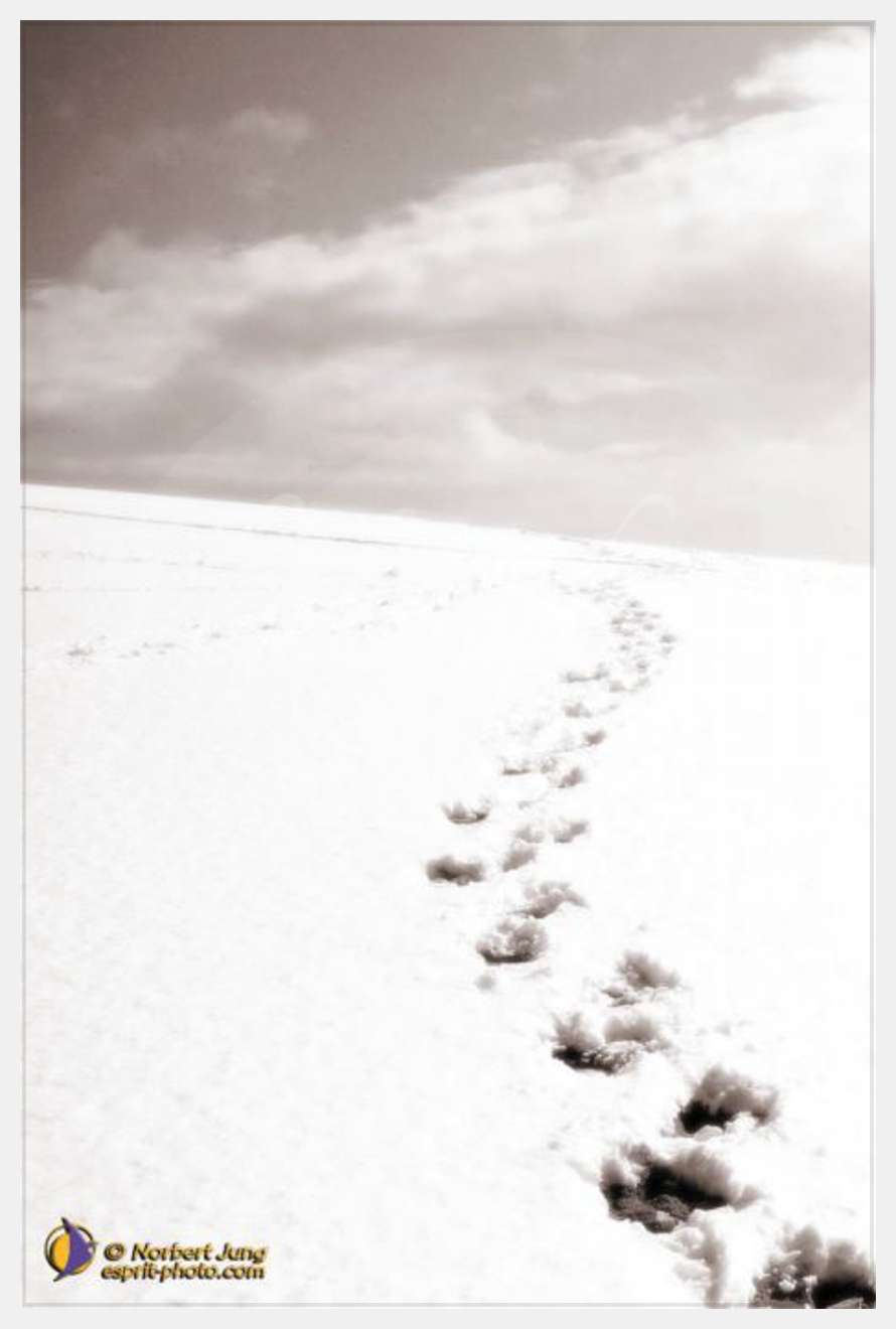 Nom de l'image : D1112164-nef-01sep — Description :