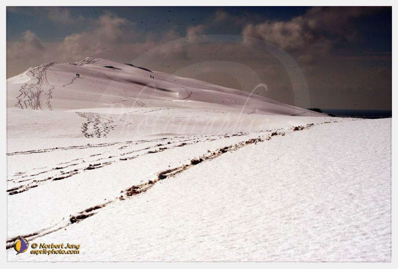 Nom de l'image : D1112181-nef-01 — Description :