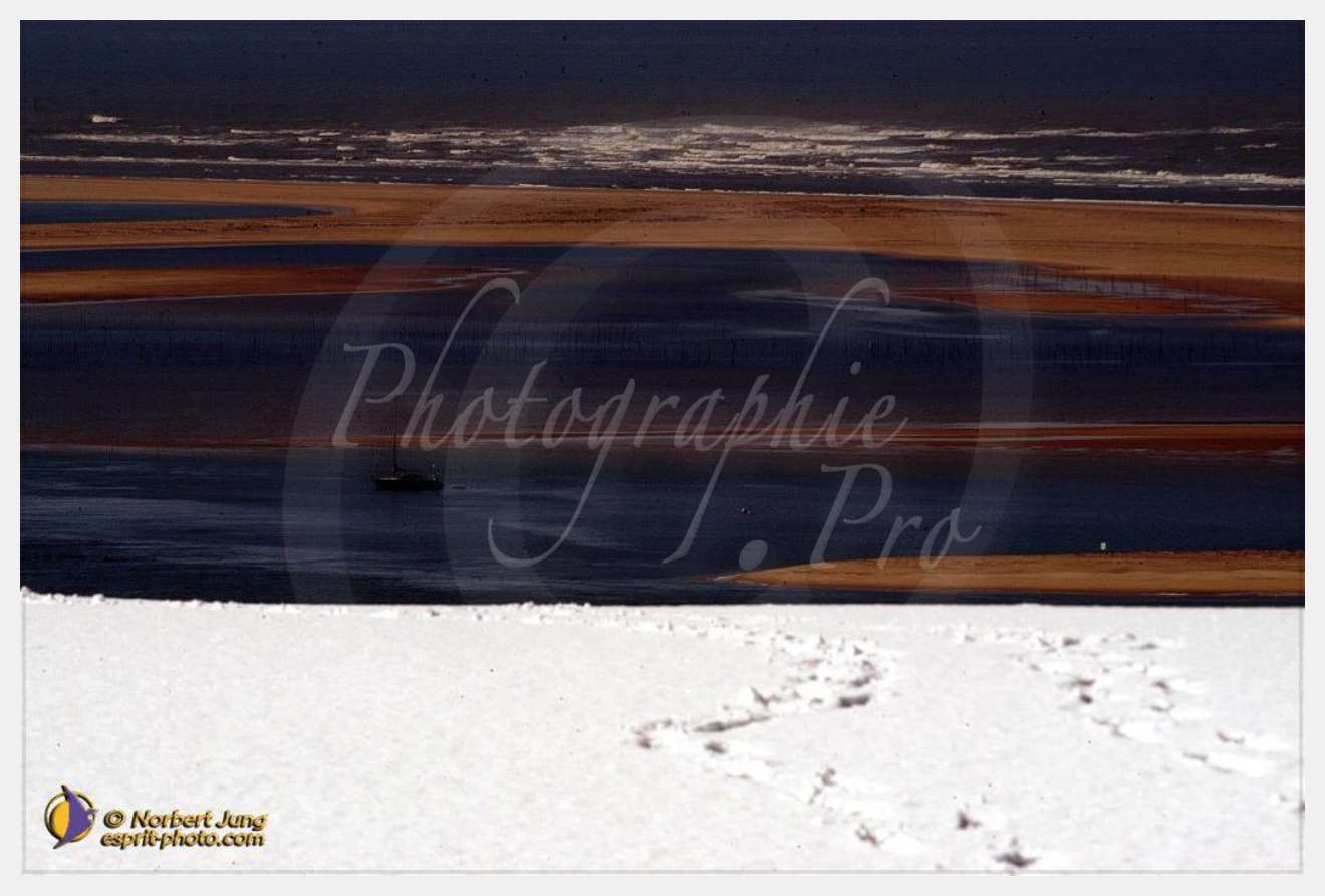 Nom de l'image : D1112186-nef-01 — Description :