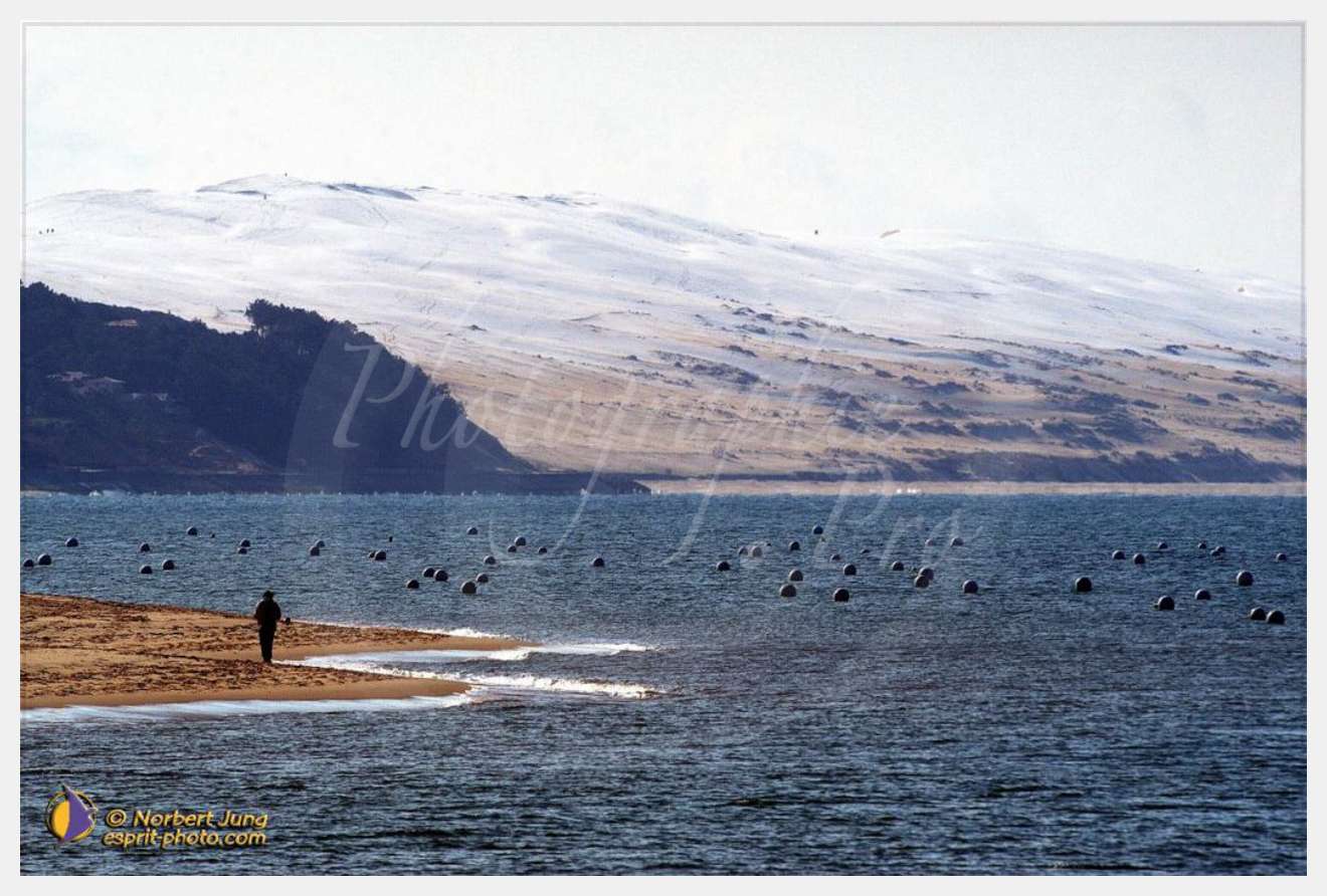 Nom de l'image : D1112395-nef-01 — Description :