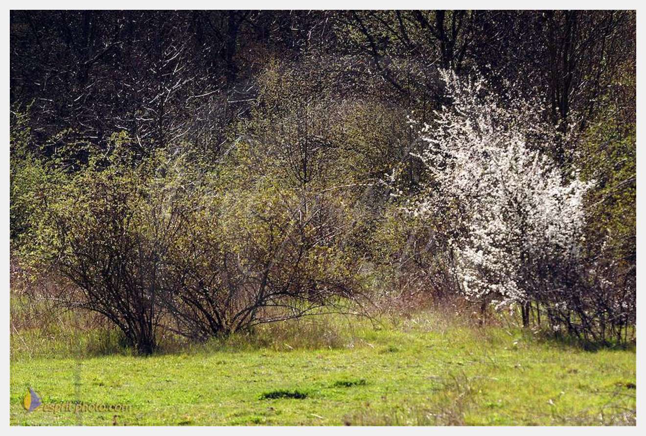 Nom de l'image : D1120237-01 — Description :  PE?lerinage de Chartres 2004