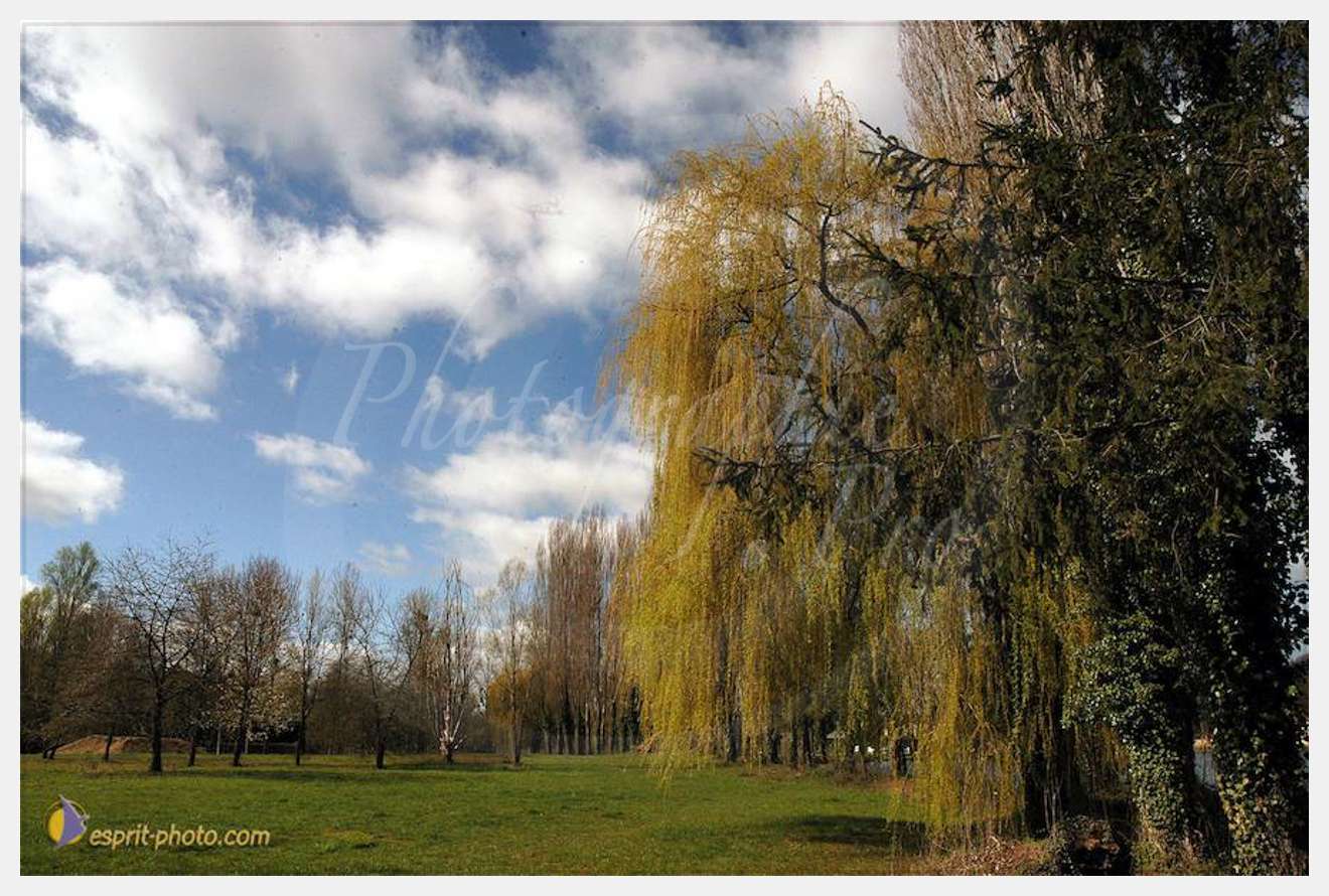 Nom de l'image : D1120239-01 — Description :  PE?lerinage de Chartres 2004