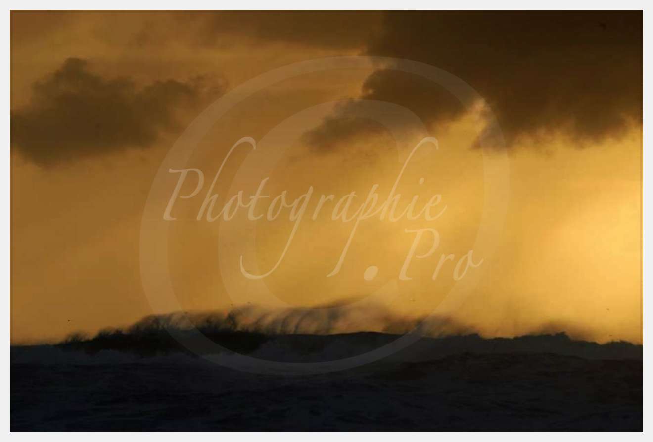 Nom de l'image : D1158809-01 — Description :