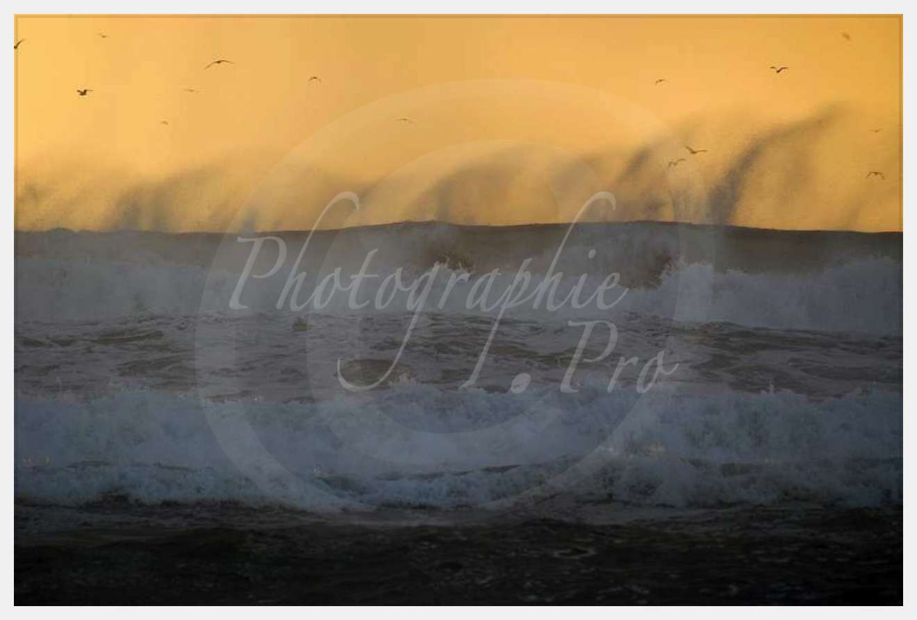 Nom de l'image : D1158869-01 — Description :