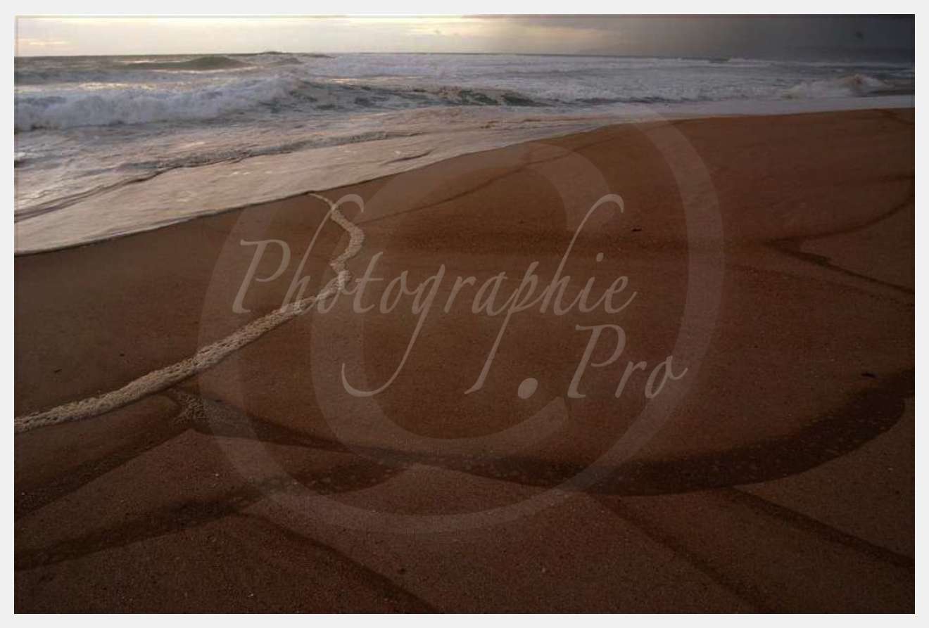 Nom de l'image : D1159179-01 — Description :