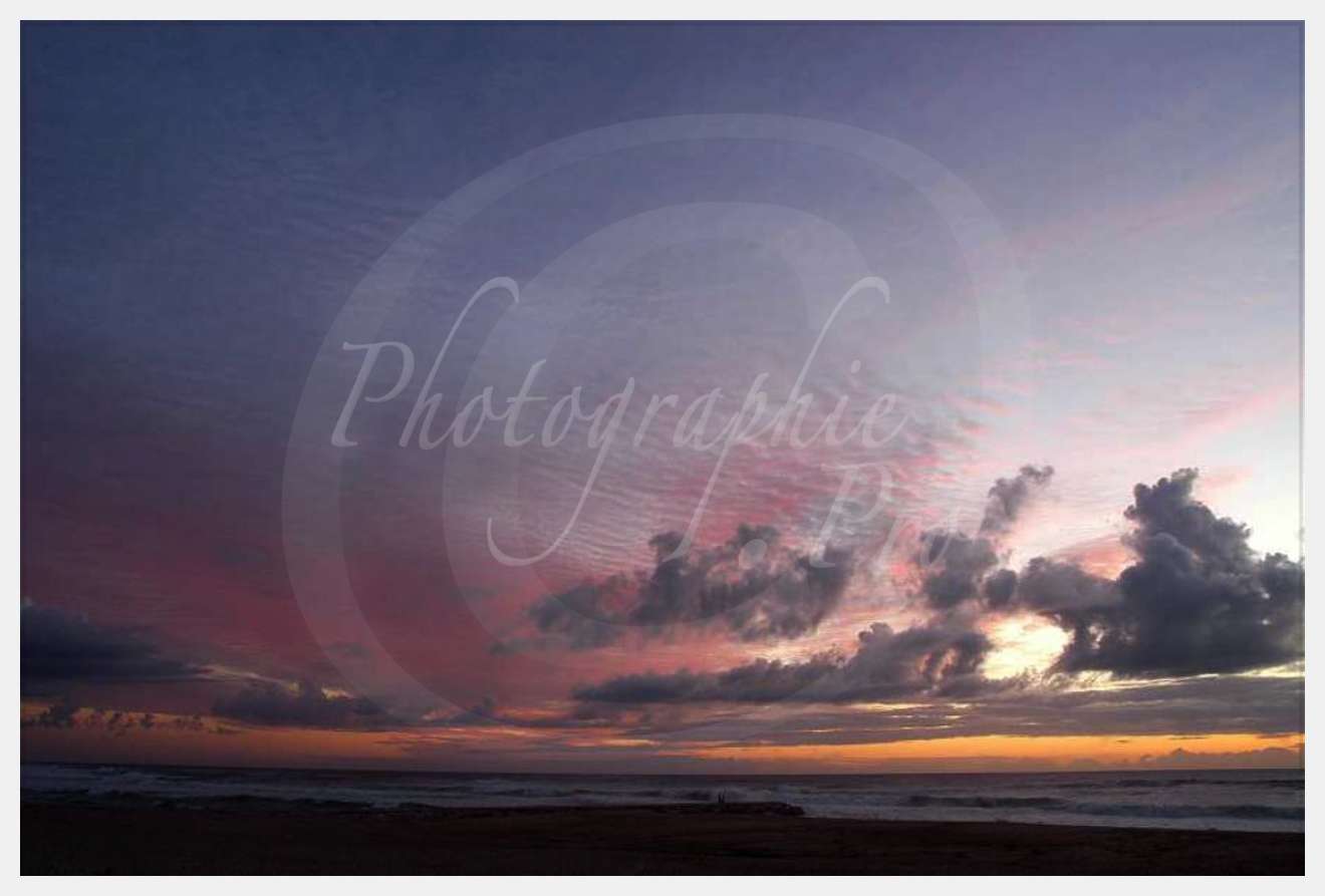 Nom de l'image : D1159221-01 — Description :