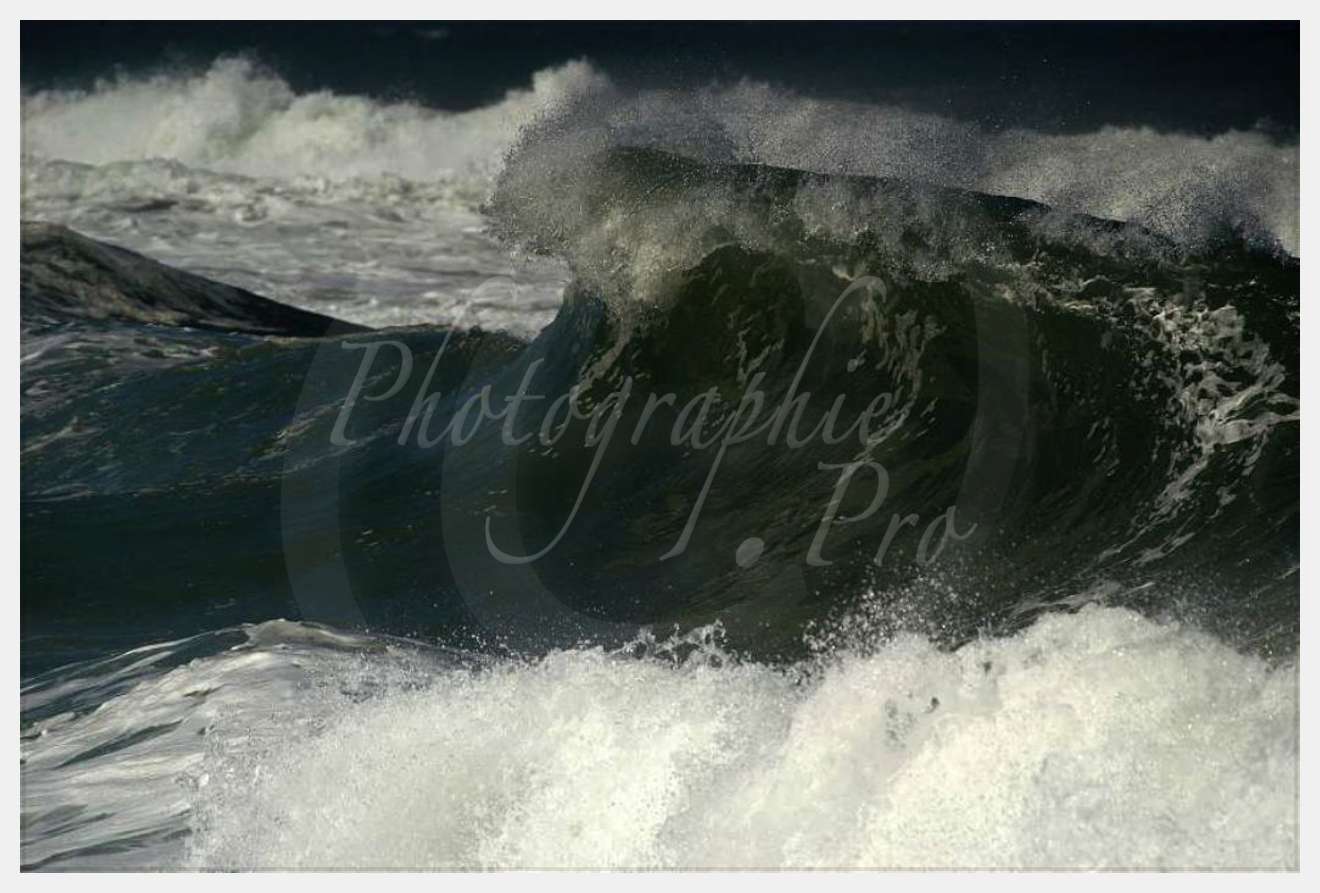 Nom de l'image : D1159919-01 — Description :