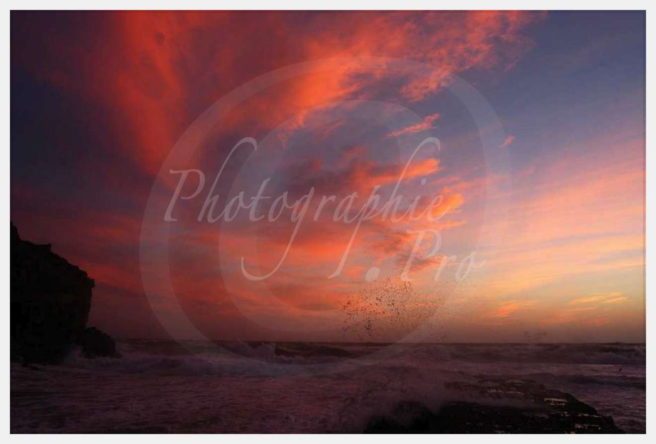 Nom de l'image : D1168161-1 — Description :