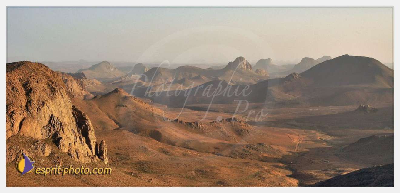 Nom de l'image : D1235876-2 — Description :