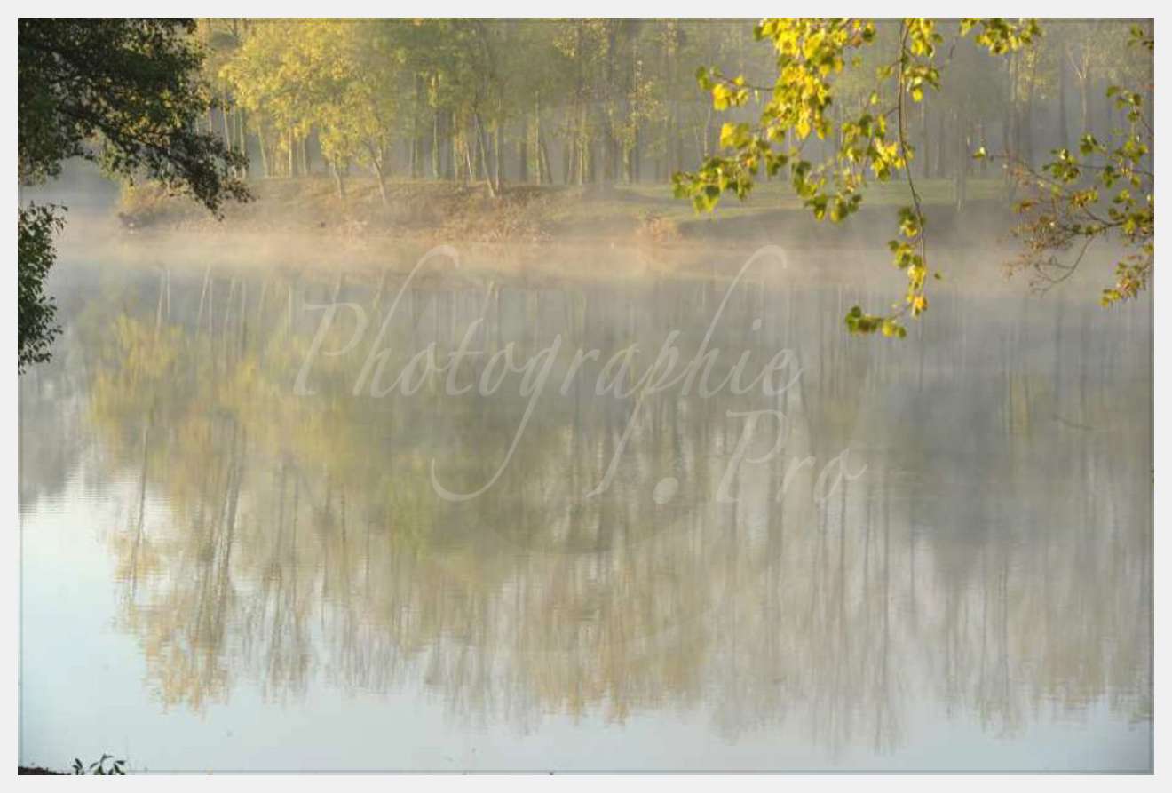 Nom de l'image : D30082689_1-2 — Description :