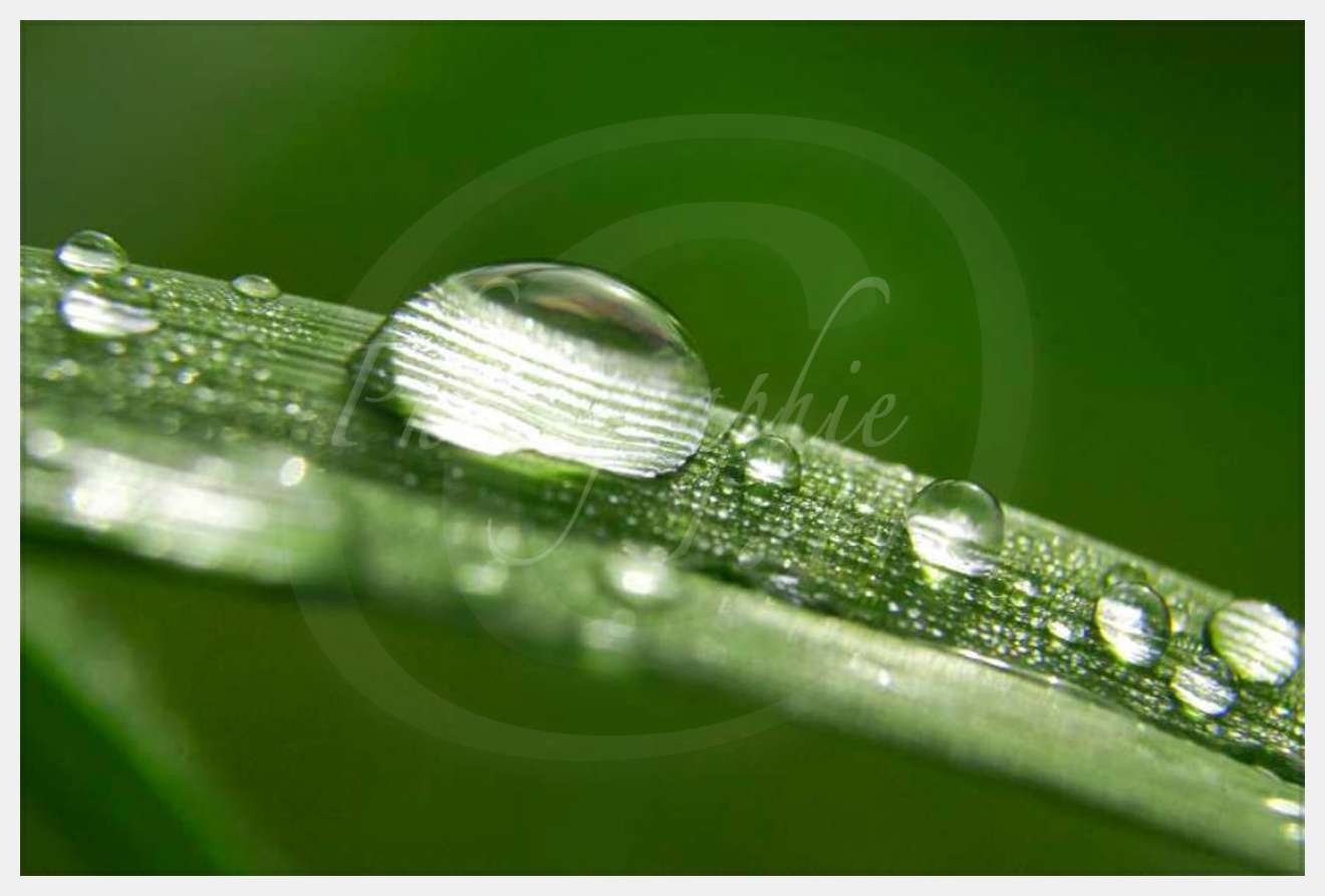 Nom de l'image : EG-Nat-196 — Description :