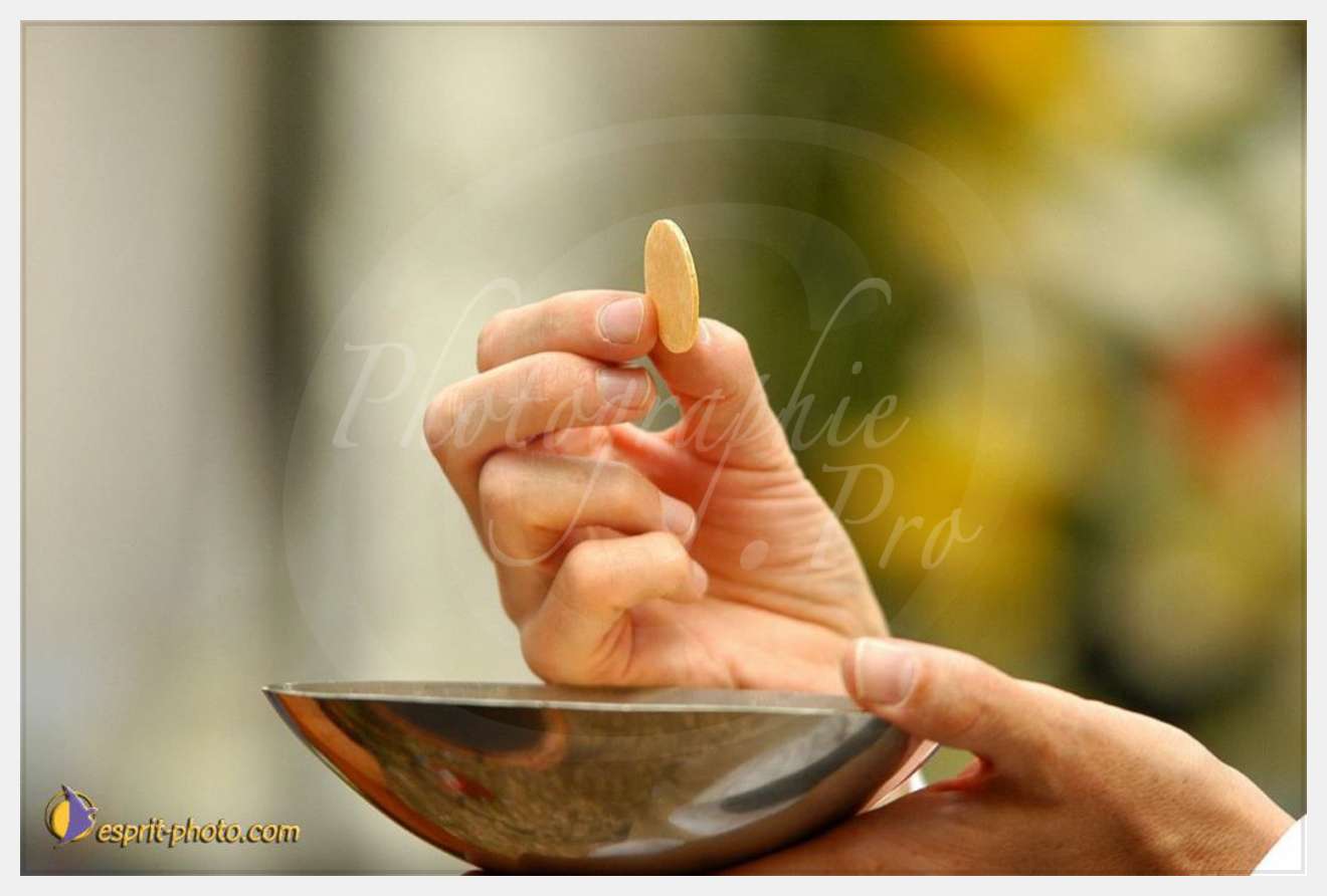 Nom de l'image : EP08-0013 — Description :