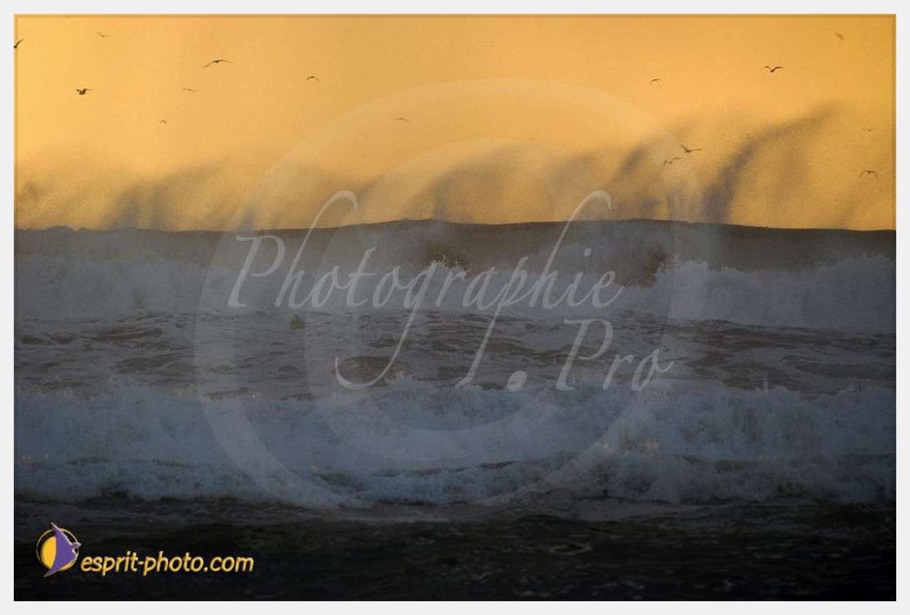 Nom de l'image : EP08-0344 — Description :