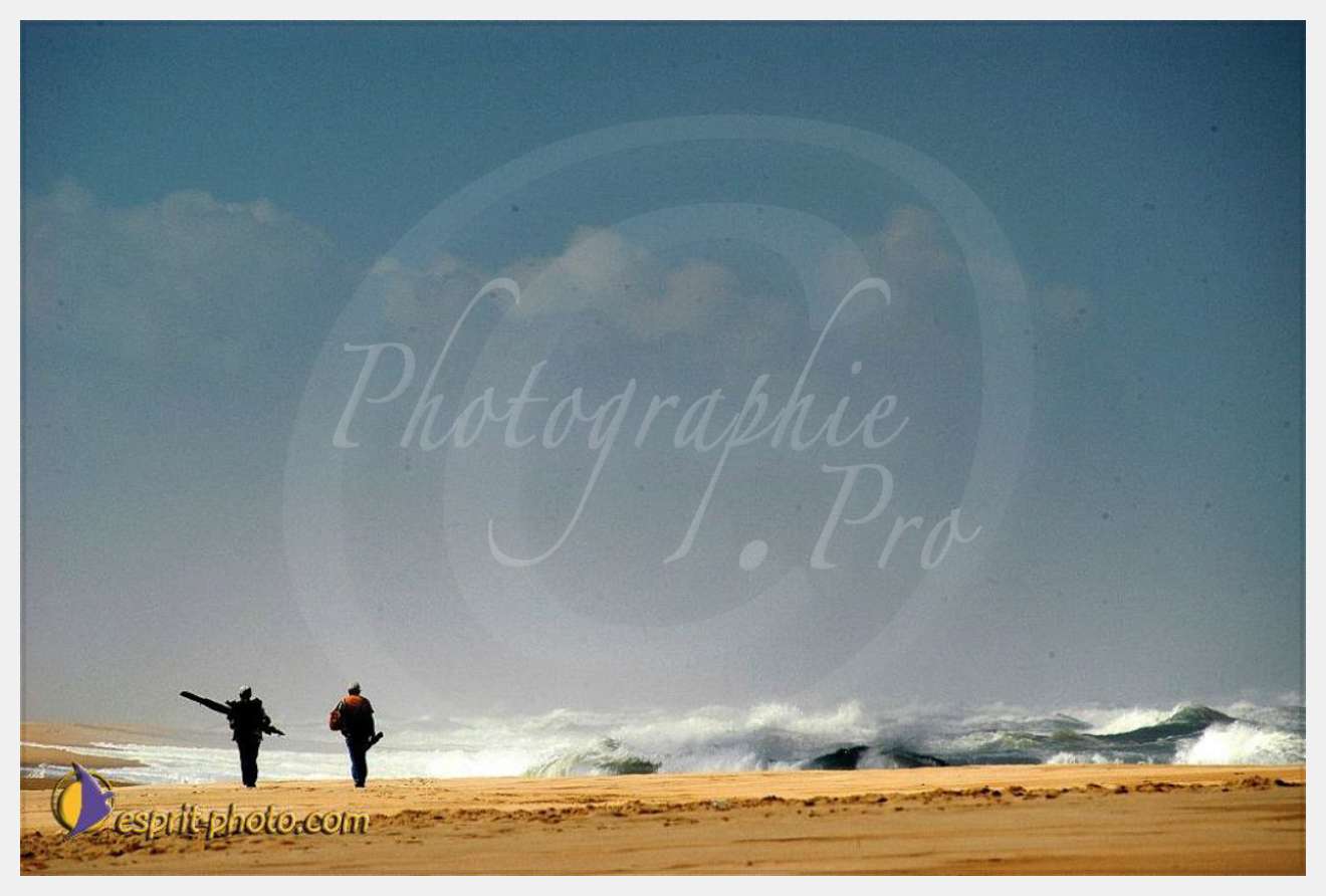 Nom de l'image : EP08-0347 — Description :