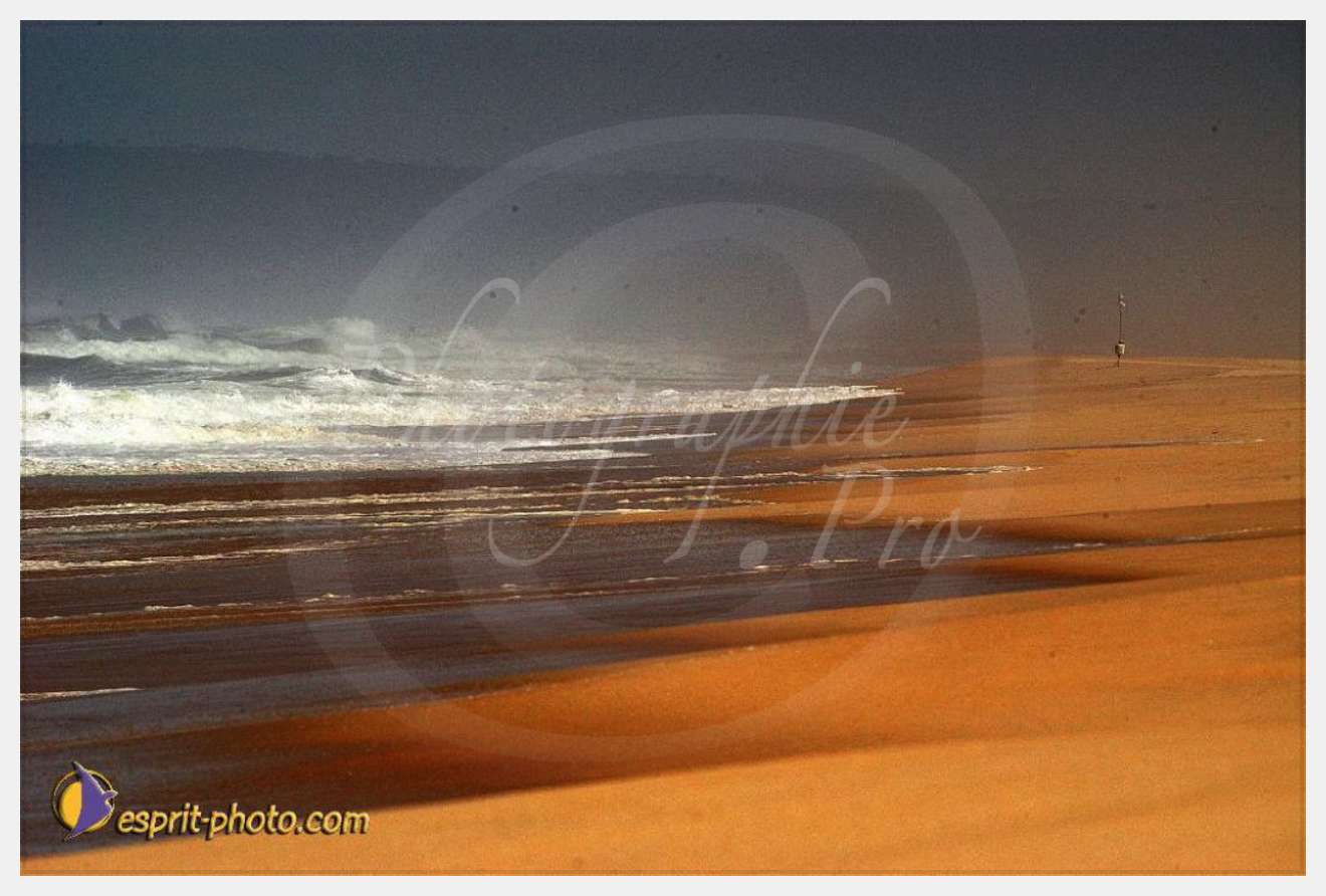 Nom de l'image : EP08-0348 — Description :