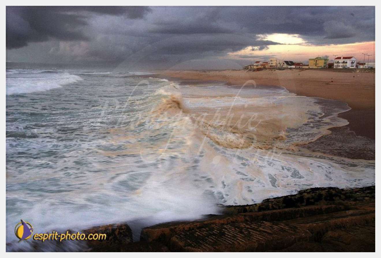 Nom de l'image : EP08-0350 — Description :