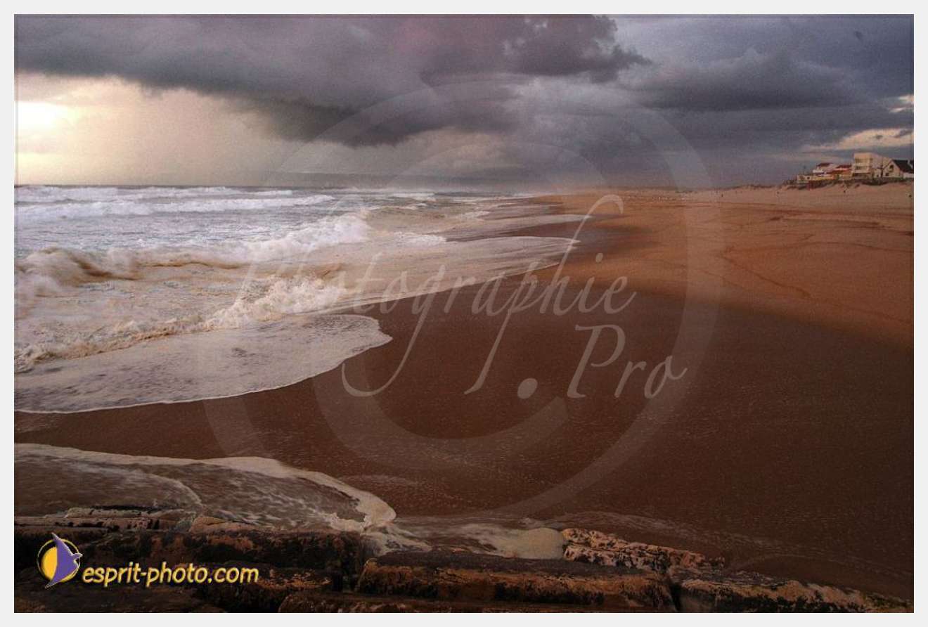 Nom de l'image : EP08-0351 — Description :