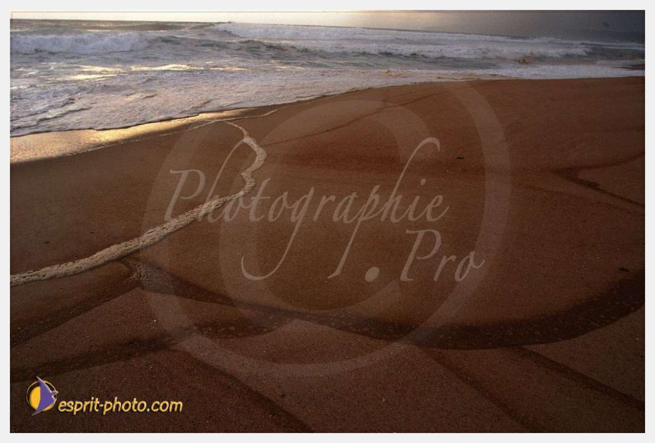 Nom de l'image : EP08-0353 — Description :