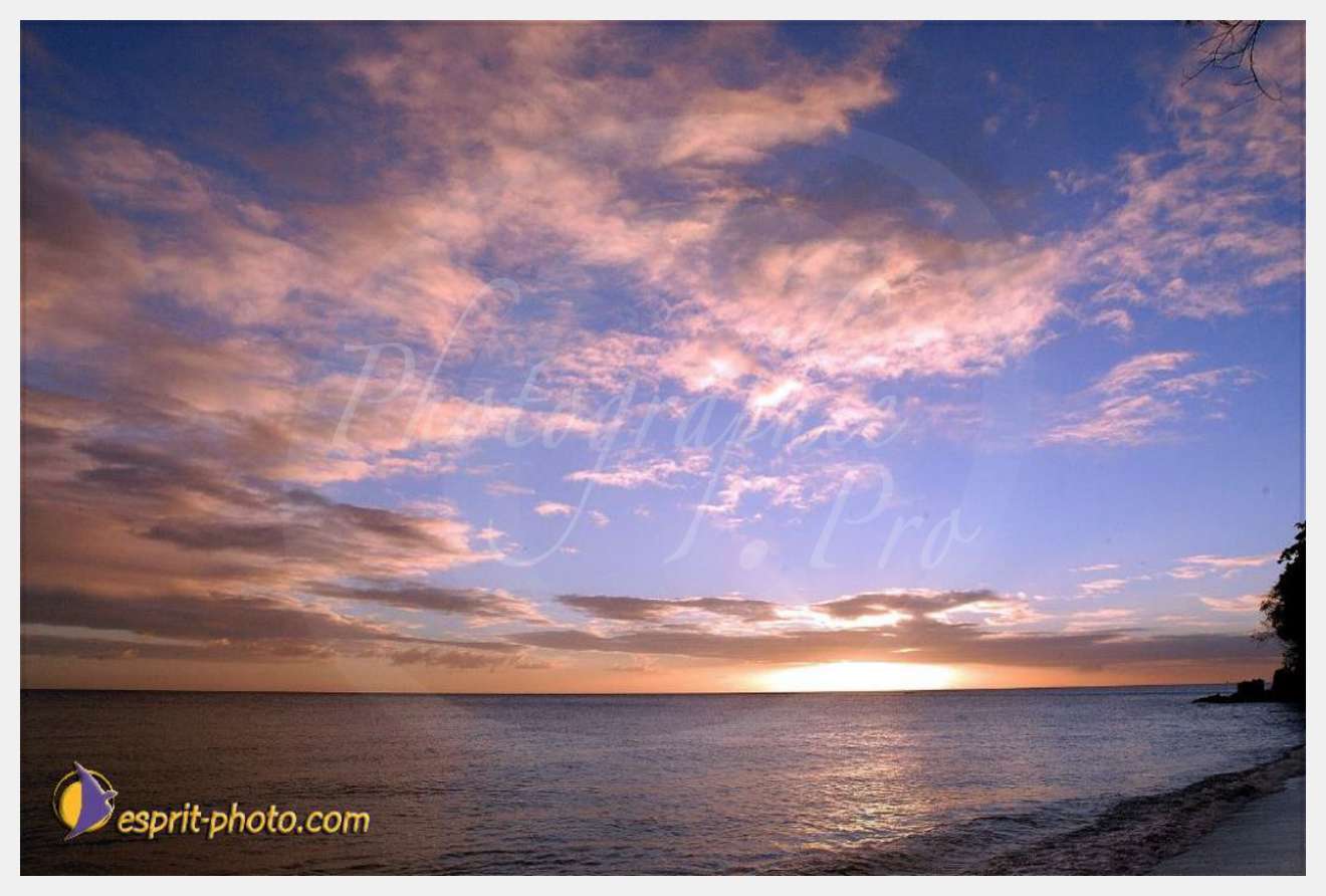 Nom de l'image : EP08-0355 — Description :