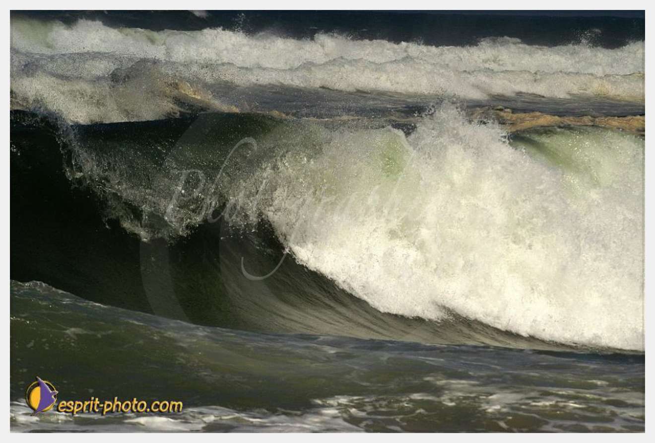 Nom de l'image : EP08-0366 — Description :