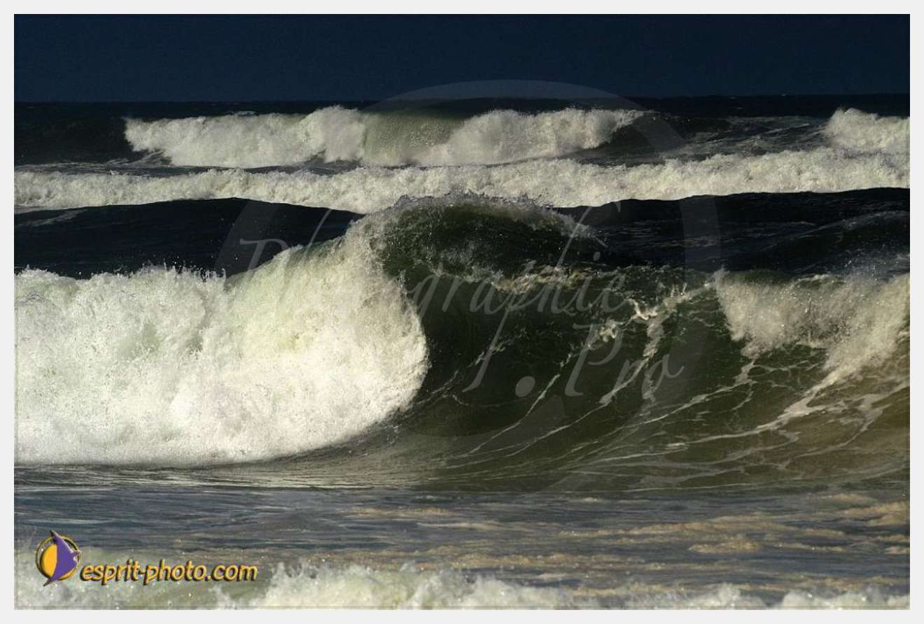 Nom de l'image : EP08-0368 — Description :