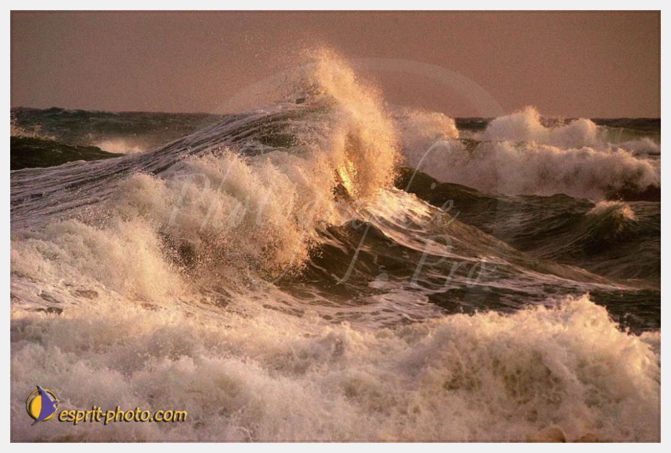 Nom de l'image : EP08-0370 — Description :