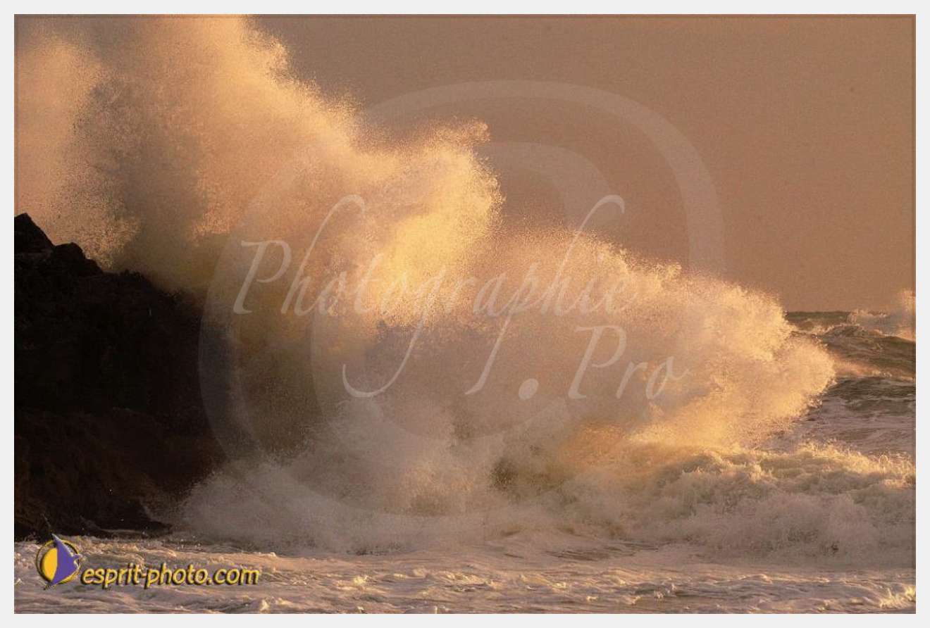 Nom de l'image : EP08-0371 — Description :