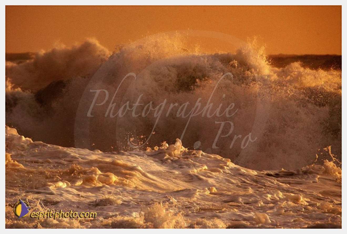 Nom de l'image : EP08-0377 — Description :